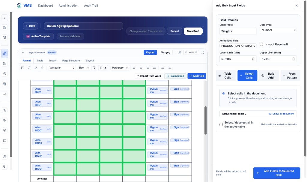 From Word to template, bulk field setup